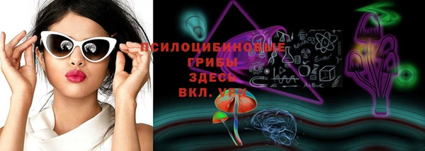 ECSTASY Алзамай