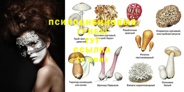 а пвп мука Алексеевка