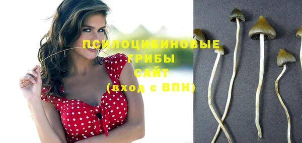 ECSTASY Алзамай
